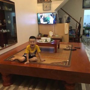SẬP CHIẾU NGỰA GỖ HƯƠNG ĐÁ NAM PHI 2m20 x 2m40, dày 20cm